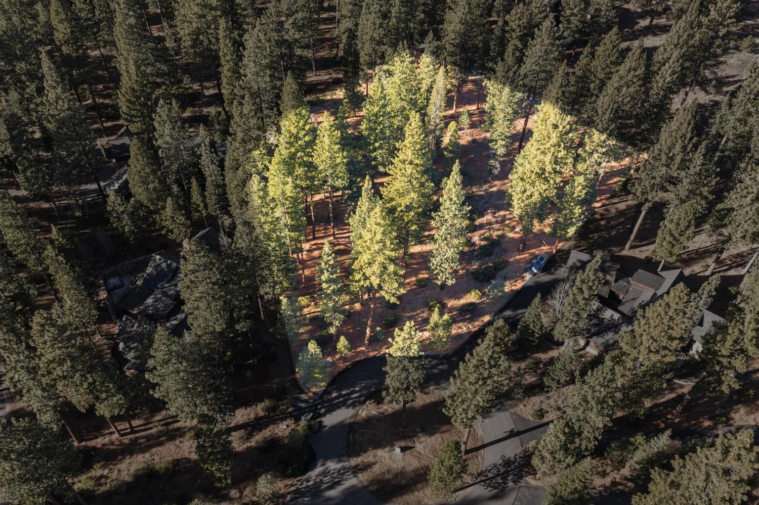 110 Bob Watson Truckee, CA 96161 - Photo 2 of 23