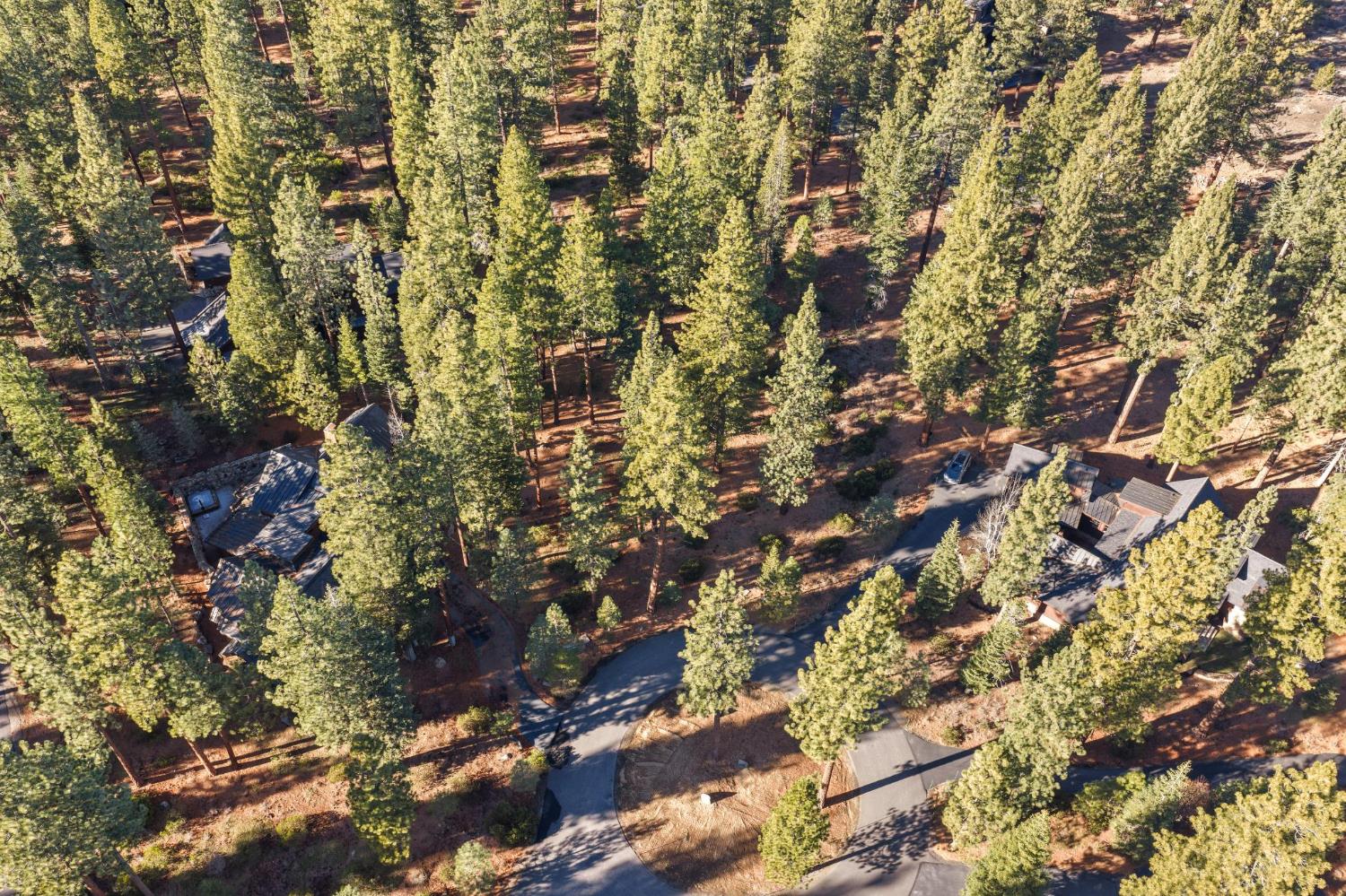 110 Bob Watson Truckee, CA 96161 - Photo 3 of 23