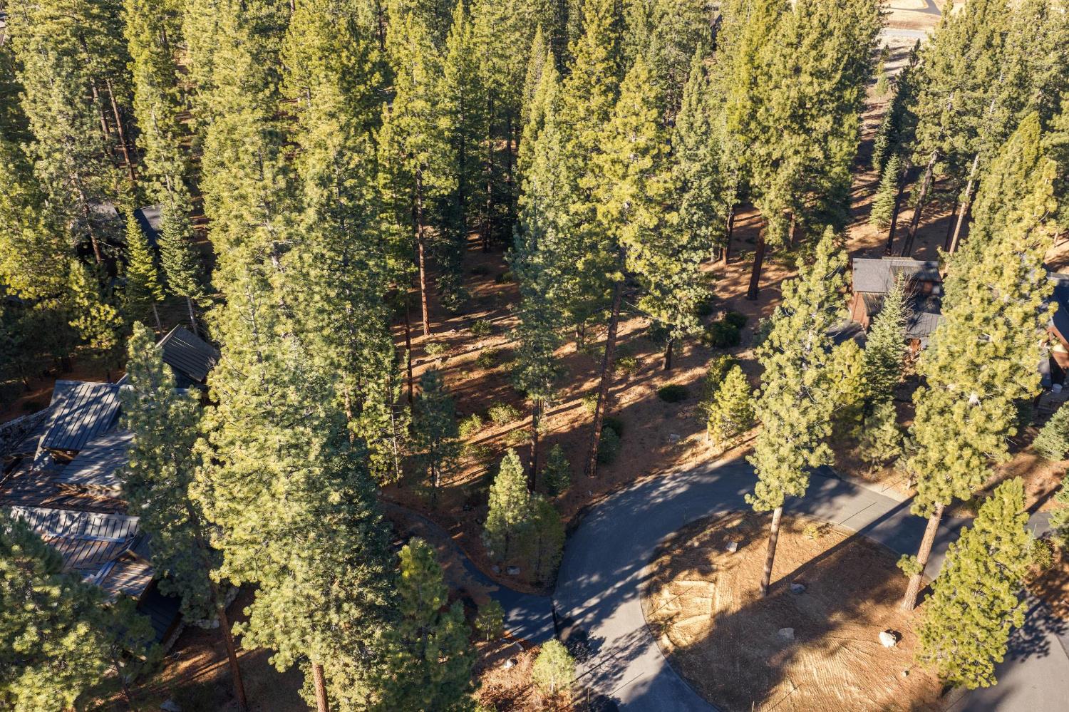 110 Bob Watson Truckee, CA 96161 - Photo 4 of 23