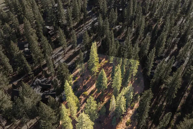a view of a lake with trees