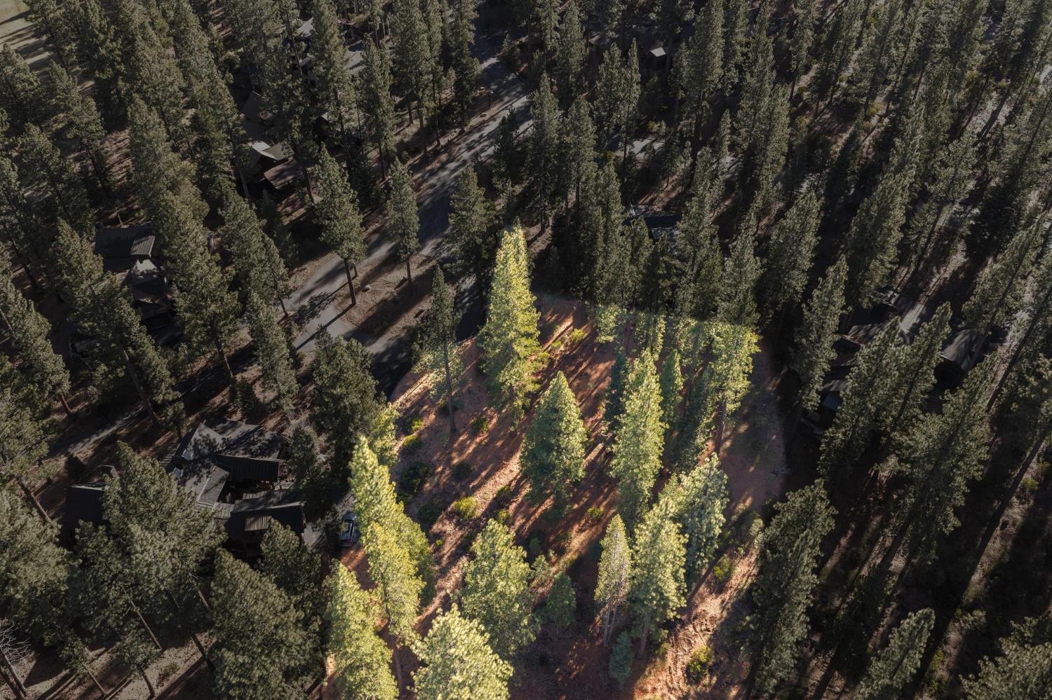 110 Bob Watson Truckee, CA 96161 - Photo 5 of 23