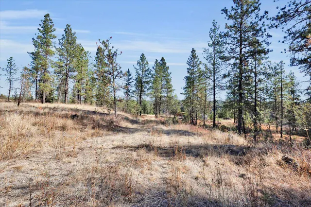 $499,000 | Tbd South Scribner Road, Unit PARCEL #24272 9065, Cheney, WA 99004