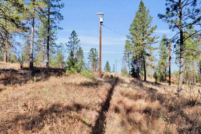 $499,000 | Tbd South Scribner Road, Unit PARCEL #24272 9065, Cheney, WA 99004