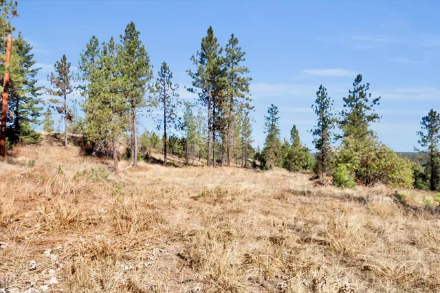 $499,000 | Tbd South Scribner Road, Unit PARCEL #24272 9065, Cheney, WA 99004