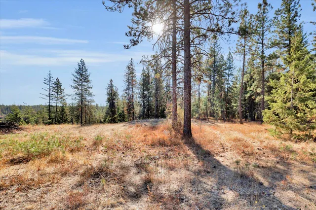 $499,000 | Tbd South Scribner Road, Unit PARCEL #24272 9065, Cheney, WA 99004