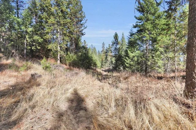 $499,000 | Tbd South Scribner Road, Unit PARCEL #24272 9065, Cheney, WA 99004