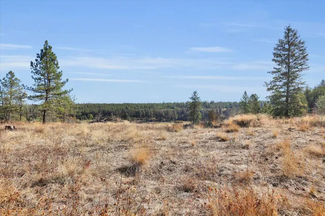 $499,000 | Tbd South Scribner Road, Unit PARCEL #24272 9065, Cheney, WA 99004