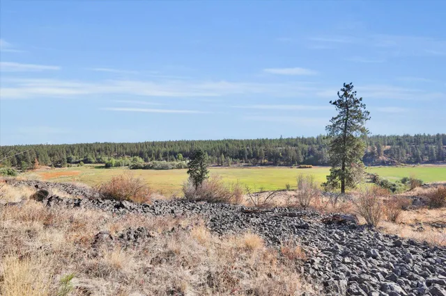 $499,000 | Tbd South Scribner Road, Unit PARCEL #24272 9065, Cheney, WA 99004