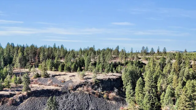 $499,000 | Tbd South Scribner Road, Unit PARCEL #24272 9065, Cheney, WA 99004