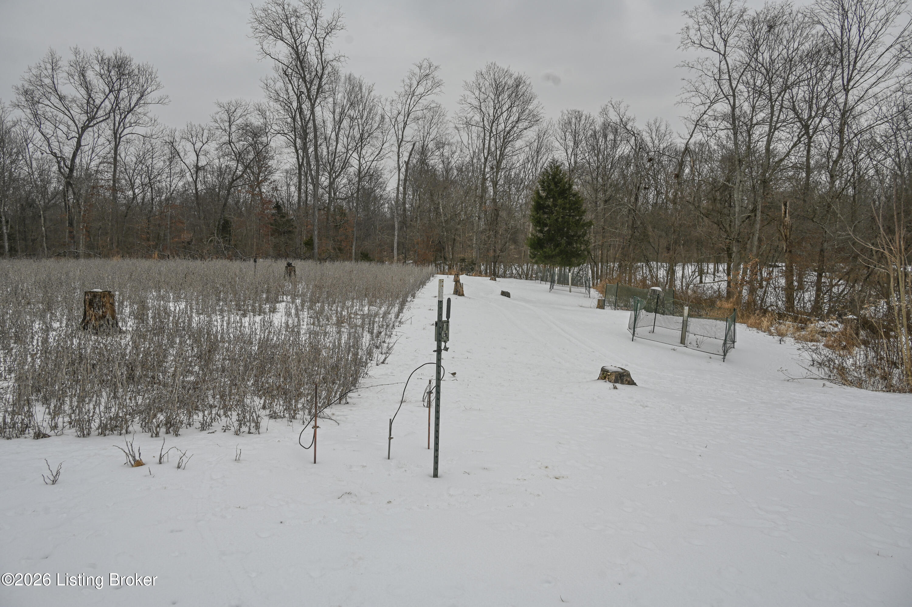0 Stewart Road Lebanon Junction, KY 40150 - Photo 40 of 106 15-DSC_1536