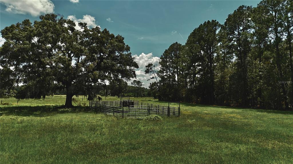 4802 Northwest 50th Road Starke, FL 32091 - Photo 49 of 75 Gallery Image 49