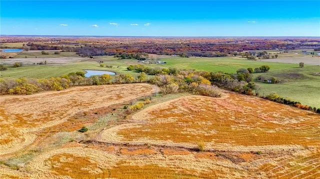 $1,500,000 | 690 Southwest 58th Highway, Centerview, MO 64019