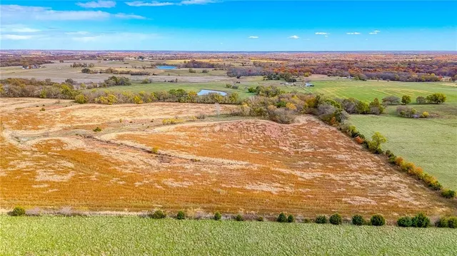 $1,500,000 | 690 Southwest 58th Highway, Centerview, MO 64019