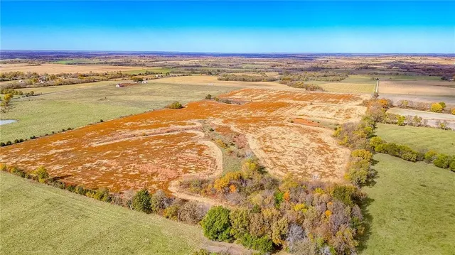 $1,500,000 | 690 Southwest 58th Highway, Centerview, MO 64019