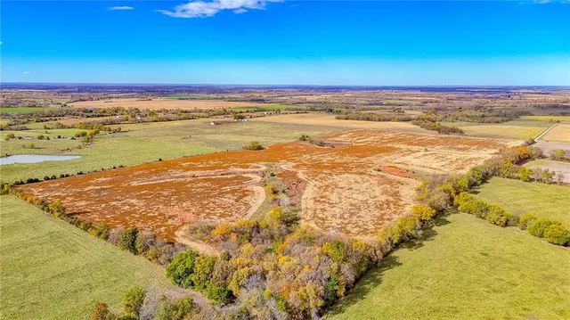 $1,500,000 | 690 Southwest 58th Highway, Centerview, MO 64019