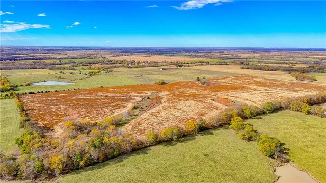 $1,500,000 | 690 Southwest 58th Highway, Centerview, MO 64019