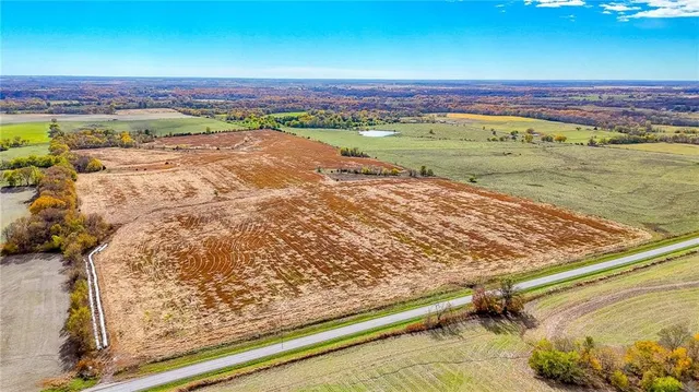 $1,500,000 | 690 Southwest 58th Highway, Centerview, MO 64019