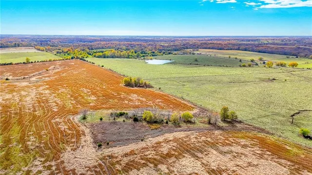 $1,500,000 | 690 Southwest 58th Highway, Centerview, MO 64019