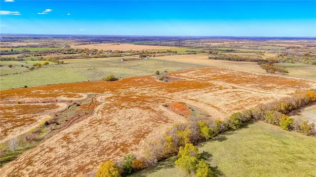 $1,500,000 | 690 Southwest 58th Highway, Centerview, MO 64019