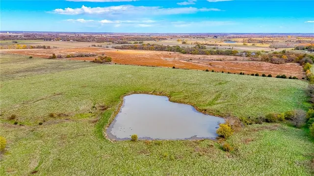 $1,500,000 | 690 Southwest 58th Highway, Centerview, MO 64019