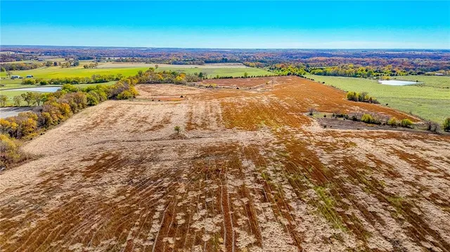 $1,500,000 | 690 Southwest 58th Highway, Centerview, MO 64019