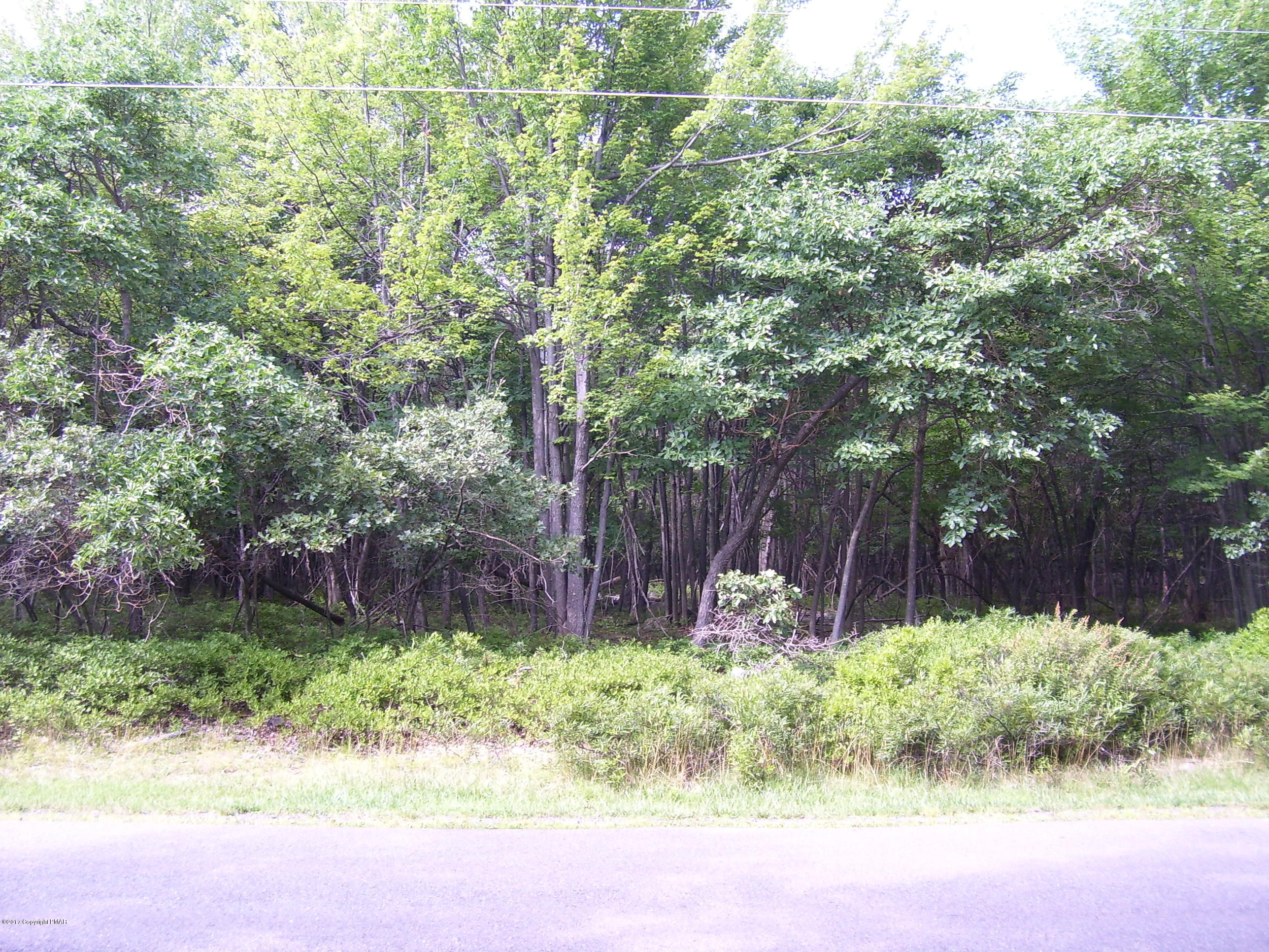 Boulder Road Blakeslee, PA 18610 - Photo 1 of 1 a backyard of a house with plants and tree