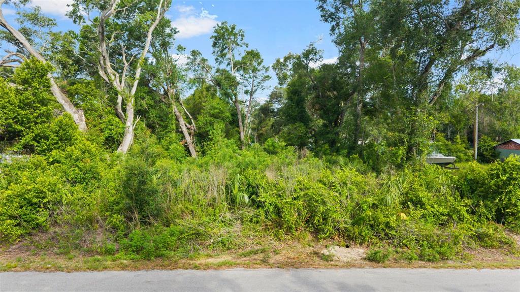 15177 Spokane Road Spring Hill, FL 34610 - Photo 14 of 17