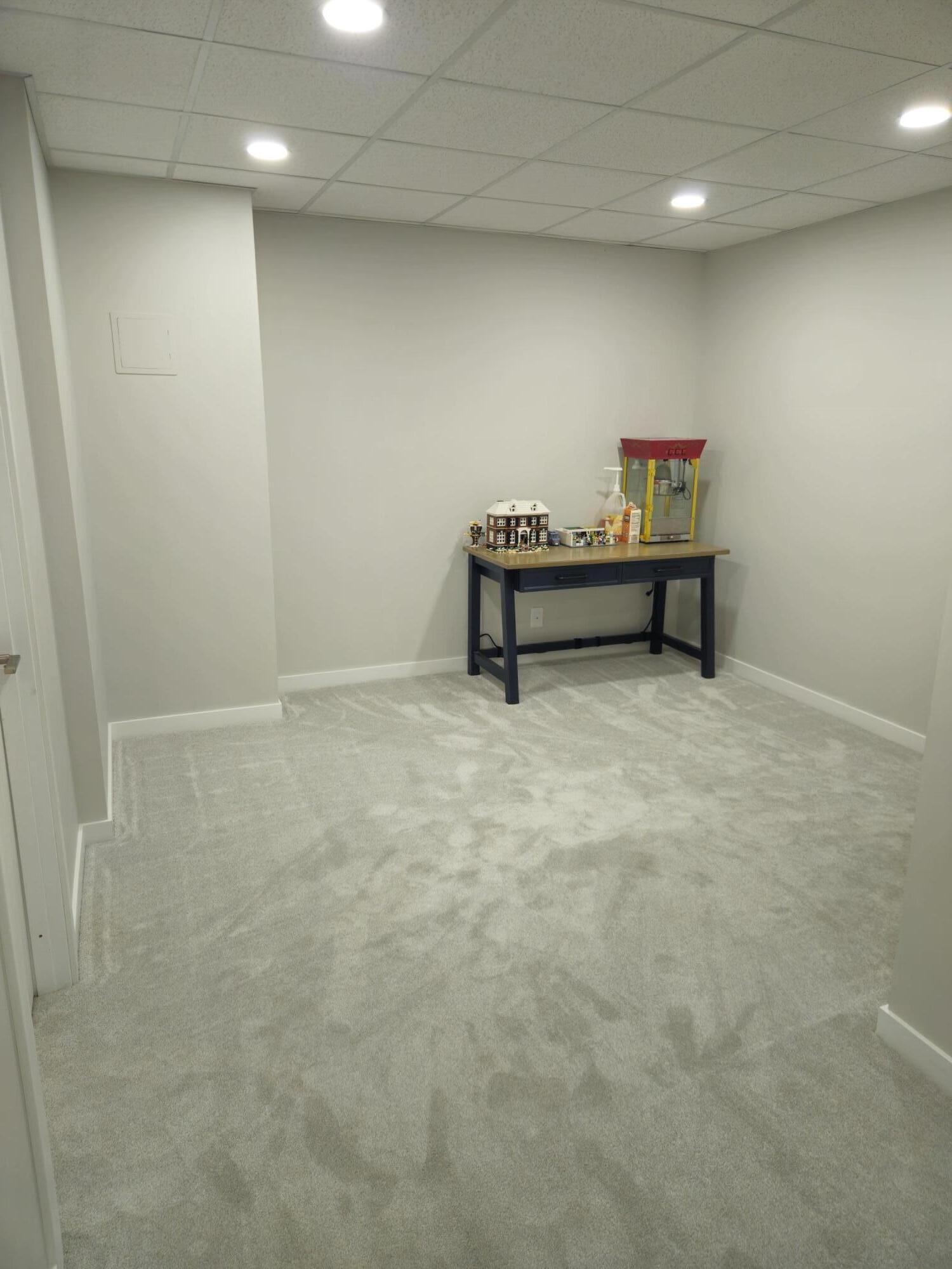32890 Robin Road Paw Paw, MI 49079 - Photo 60 of 98 Basement View 1