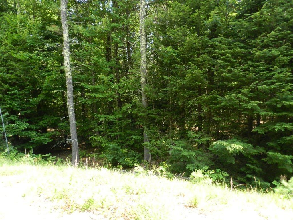 16 Harrison Road Naples, ME 04055 - Photo 23 of 34 Photo
