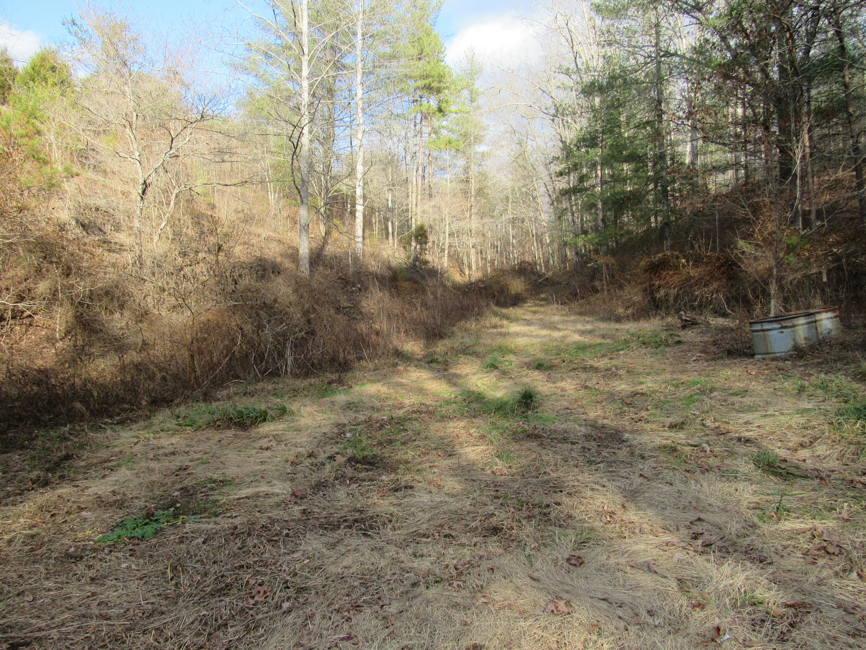 7006 Lacy Creek Road Hazel Green, KY 41332 - Photo 2 of 39 057