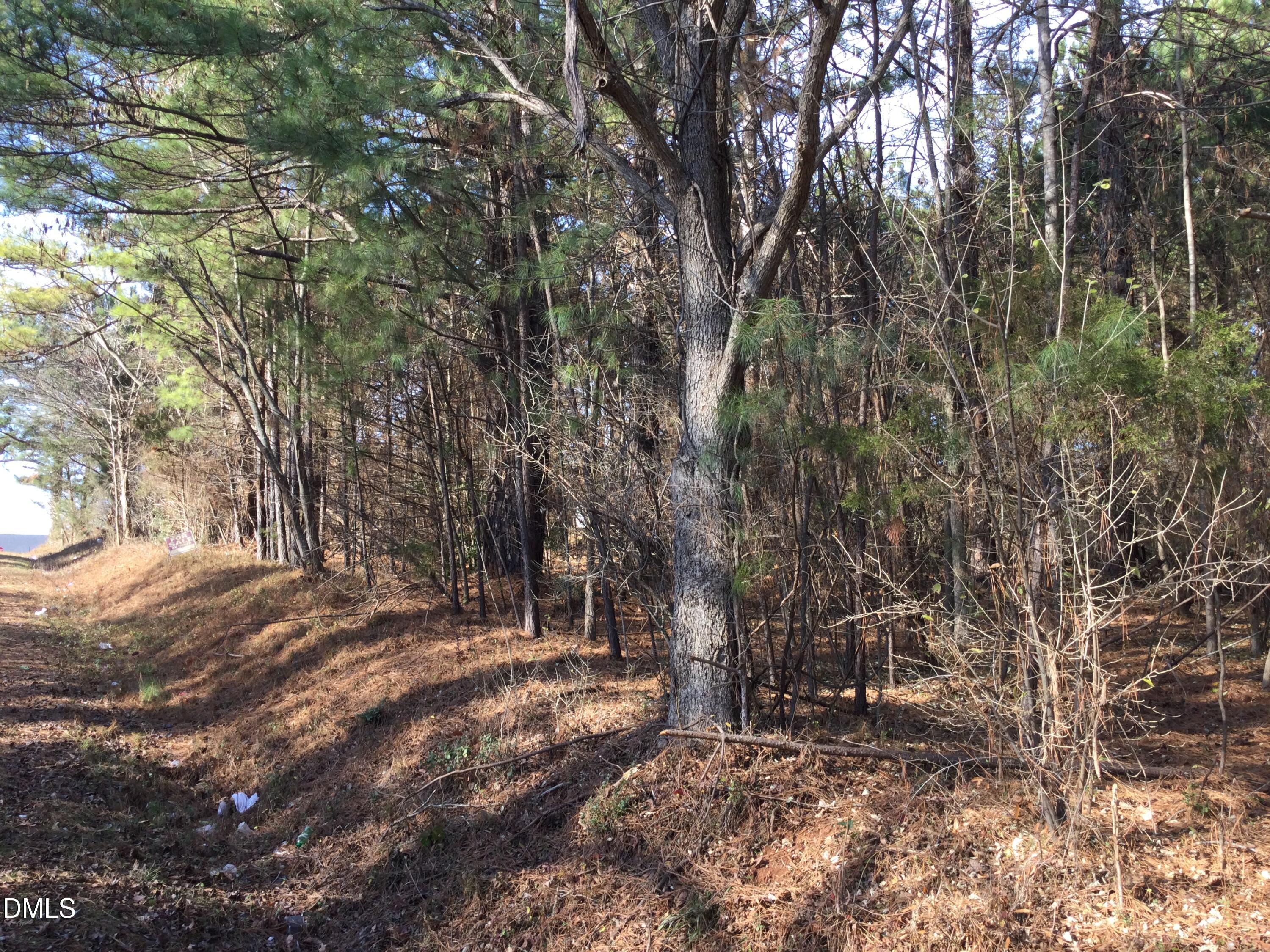 0 Lambert Road Graham, NC 27253 - Photo 2 of 4 a view of backyard with green space