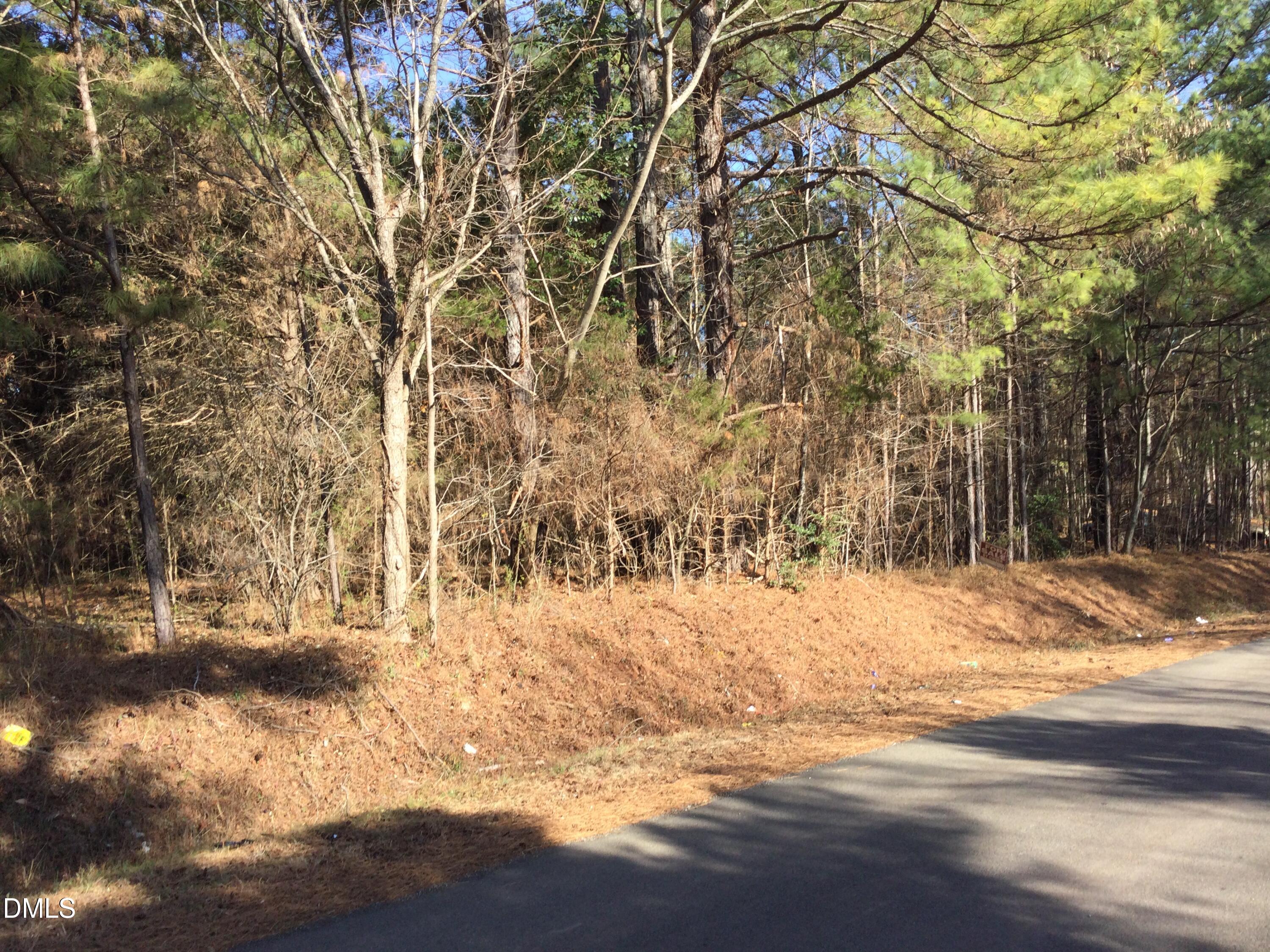 0 Lambert Road Graham, NC 27253 - Photo 3 of 4 a view of snow on the road