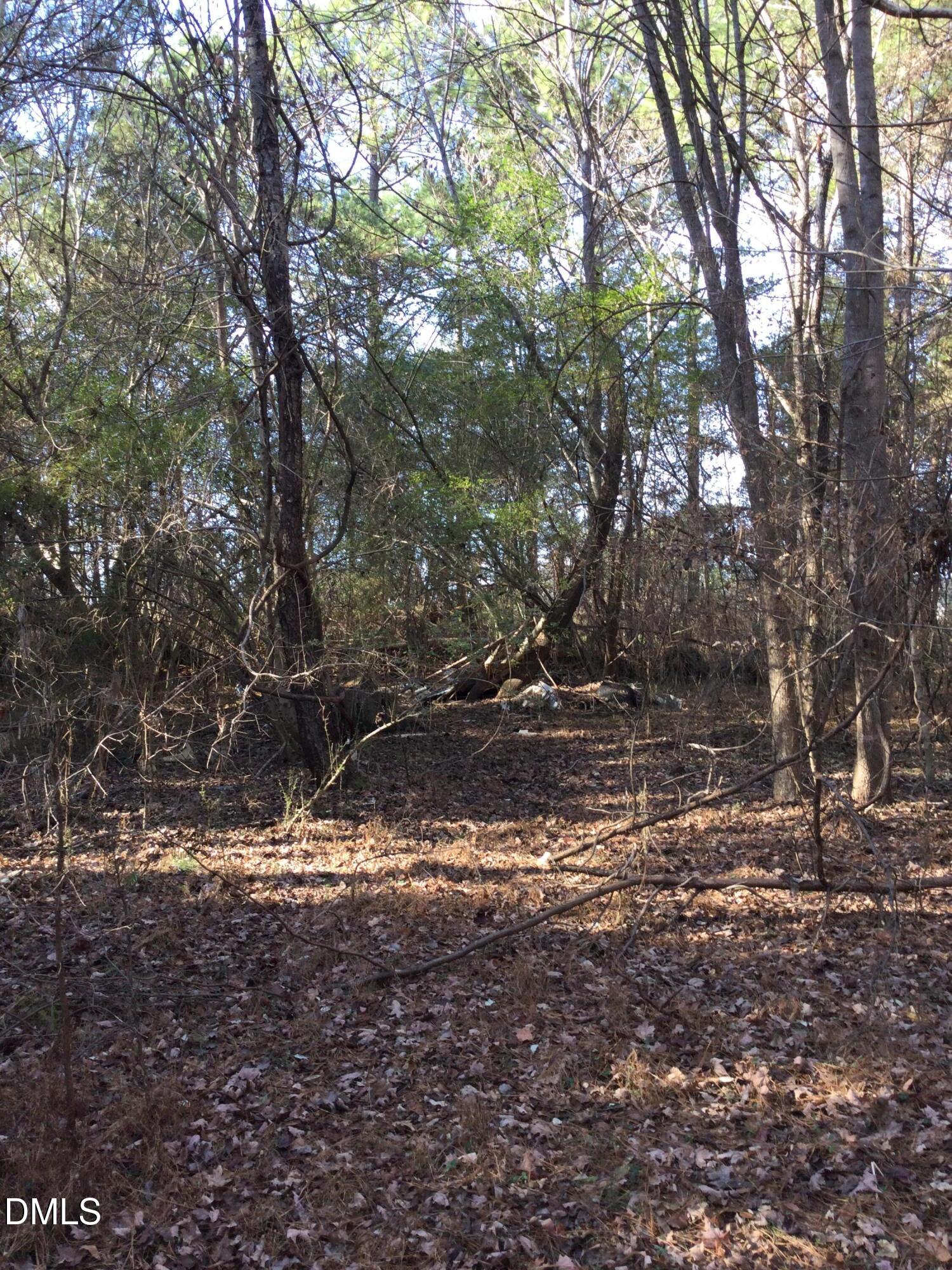0 Lambert Road Graham, NC 27253 - Photo 4 of 4 a view of a yard with a tree