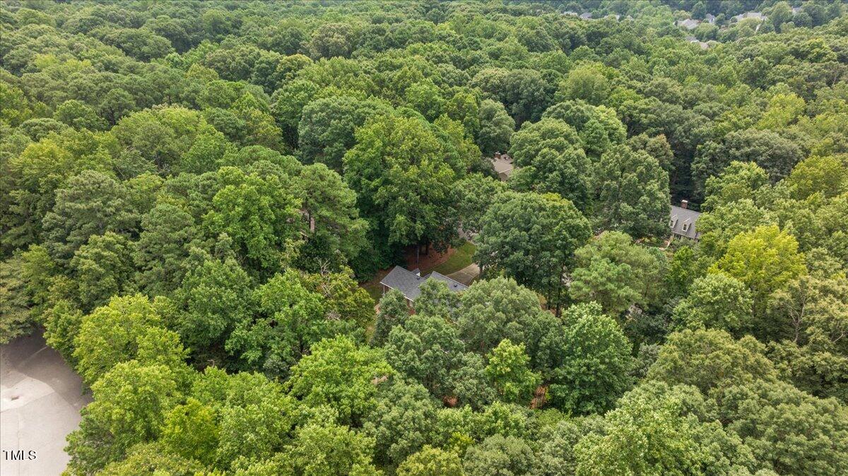 9228 Oneal Road Raleigh, NC 27613 - Photo 45 of 45 view of a lots of trees and bushes