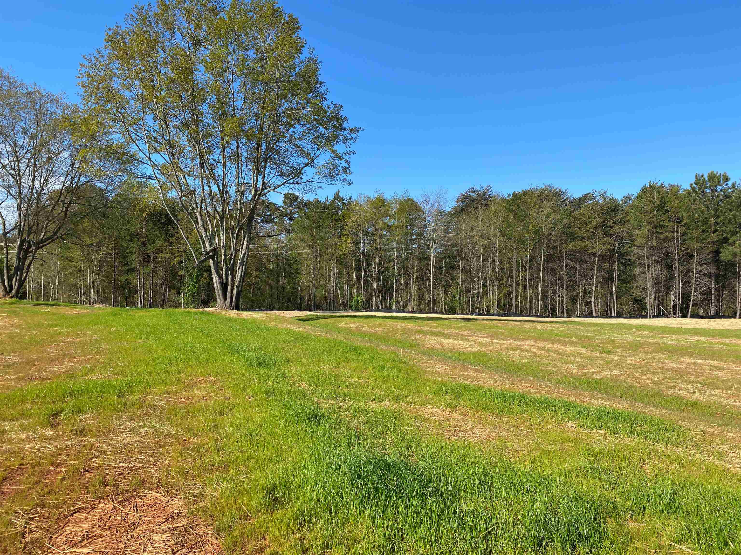 233 Aldrich Road Chesnee, SC 29323 - Photo 15 of 16