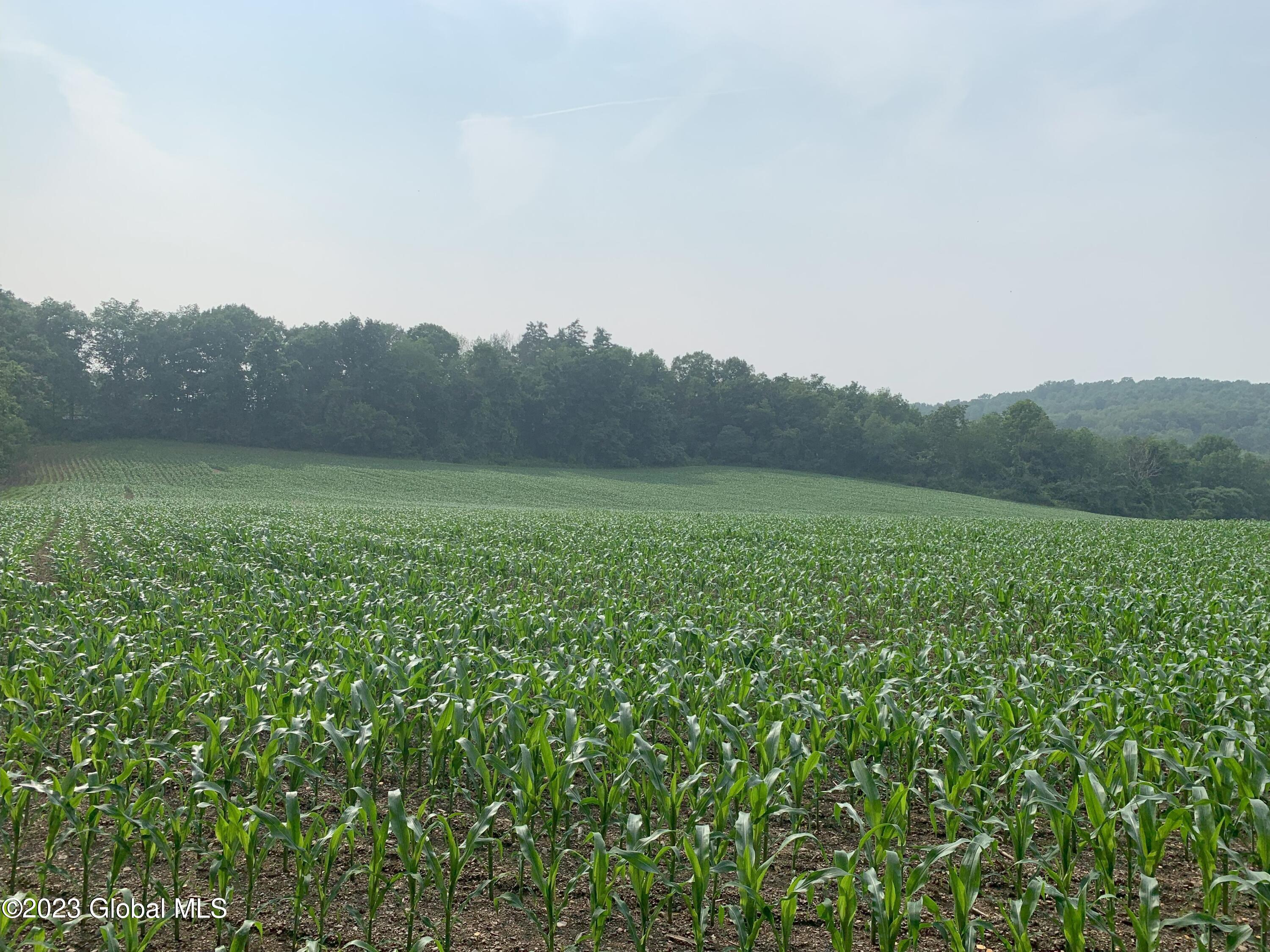 L14.3 Cottrell Road Greenwich, NY 12834 - Photo 6 of 17 20230630_205110905_iOS