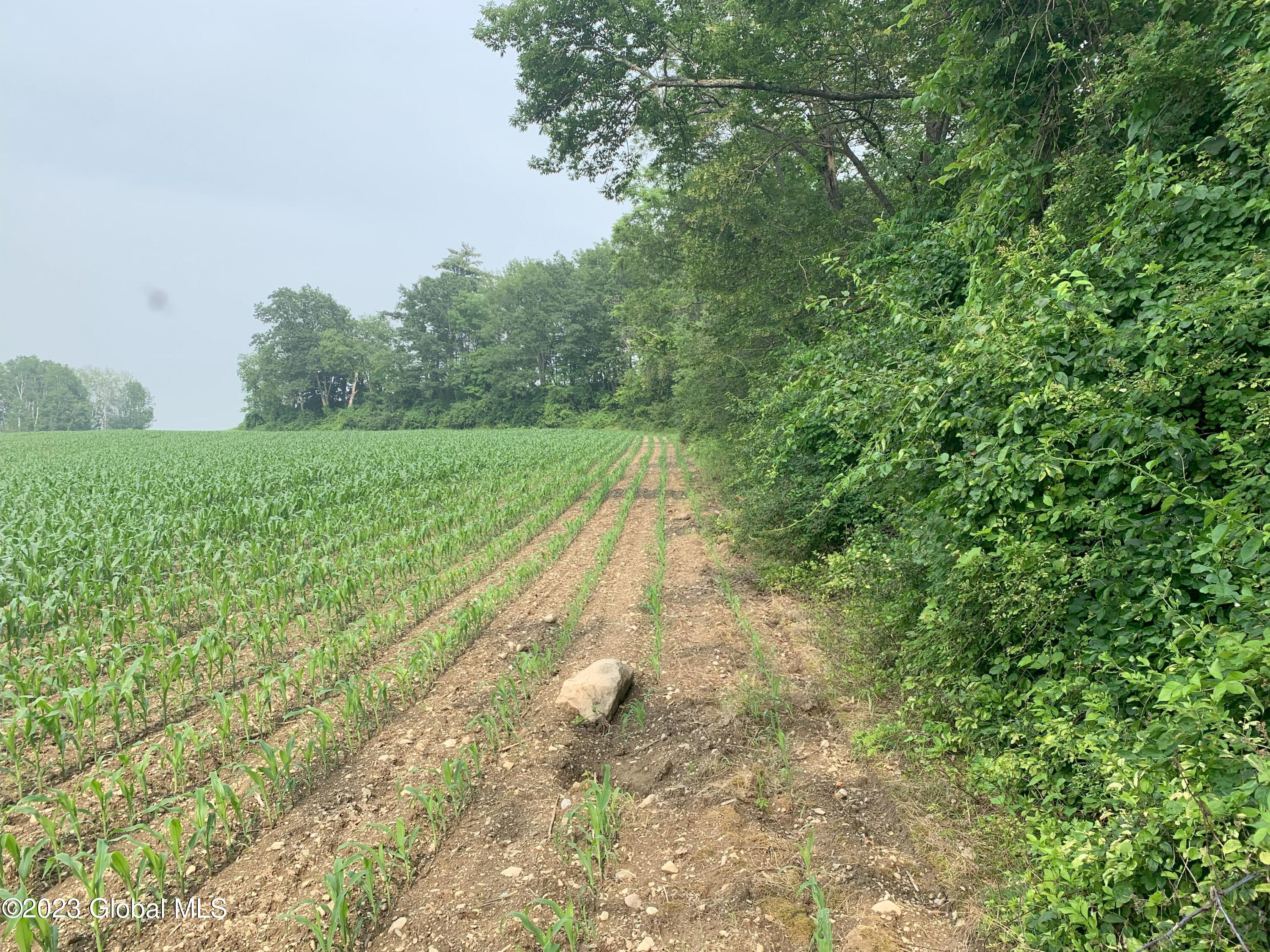 L14.3 Cottrell Road Greenwich, NY 12834 - Photo 10 of 17 20230630_205249290_iOS