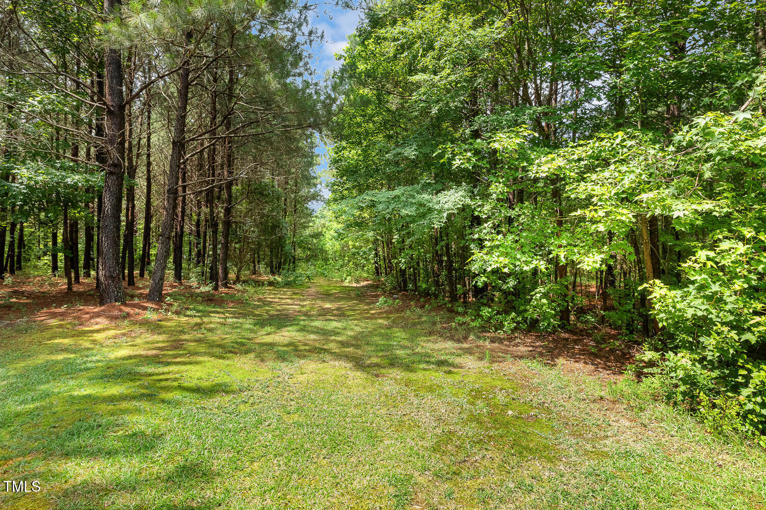 131 Abacos Court Clayton, NC 27520 - Photo 37 of 39 a view of outdoor space with deck and trees