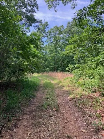 $220,000 | 80 Reynolds Cr, Lesterville, MO 63654