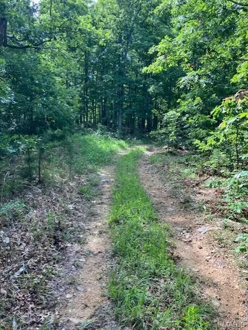 $220,000 | 80 Reynolds Cr, Lesterville, MO 63654