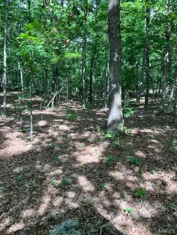 $220,000 | 80 Reynolds Cr, Lesterville, MO 63654