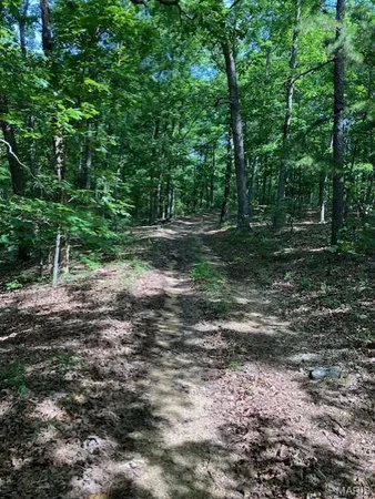 $220,000 | 80 Reynolds Cr, Lesterville, MO 63654