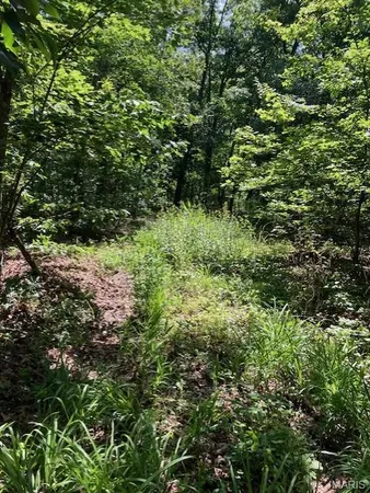 $220,000 | 80 Reynolds Cr, Lesterville, MO 63654
