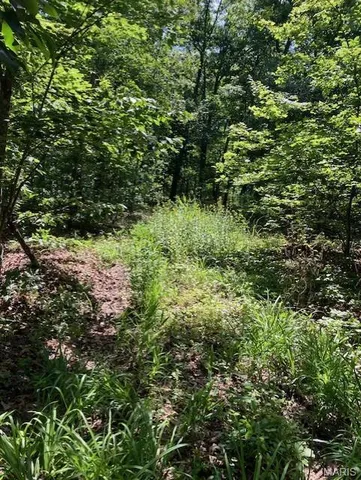 $220,000 | 80 Reynolds Cr, Lesterville, MO 63654