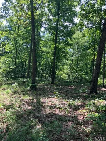 $220,000 | 80 Reynolds Cr, Lesterville, MO 63654