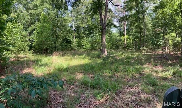 $220,000 | 80 Reynolds Cr, Lesterville, MO 63654