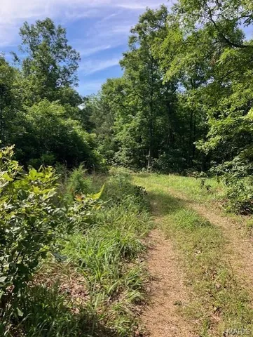 $220,000 | 80 Reynolds Cr, Lesterville, MO 63654