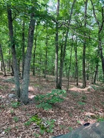 $220,000 | 80 Reynolds Cr, Lesterville, MO 63654