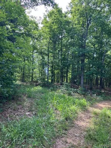 $220,000 | 80 Reynolds Cr, Lesterville, MO 63654