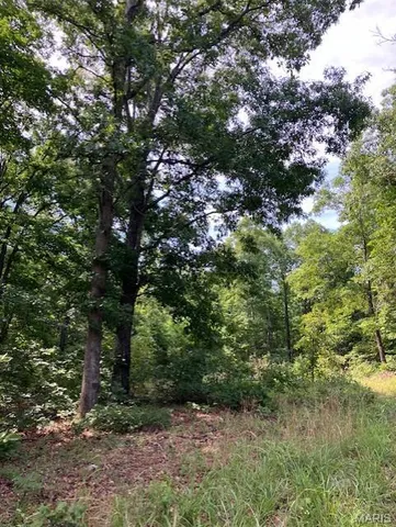 $220,000 | 80 Reynolds Cr, Lesterville, MO 63654